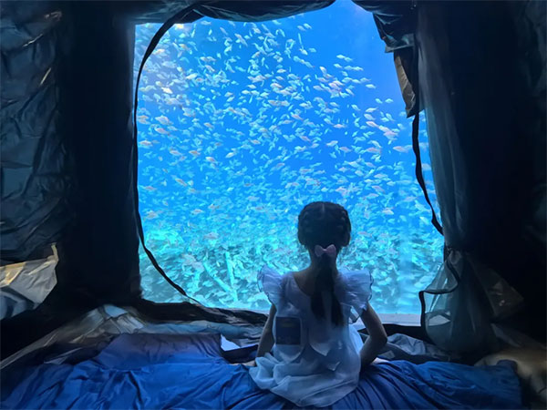 8月2日海洋夜宿火熱招募！與魚共眠的浪漫奇遇名額有限，速來！